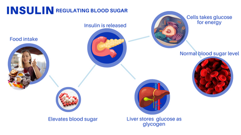 Insulin Regulating Blood Sugar levels