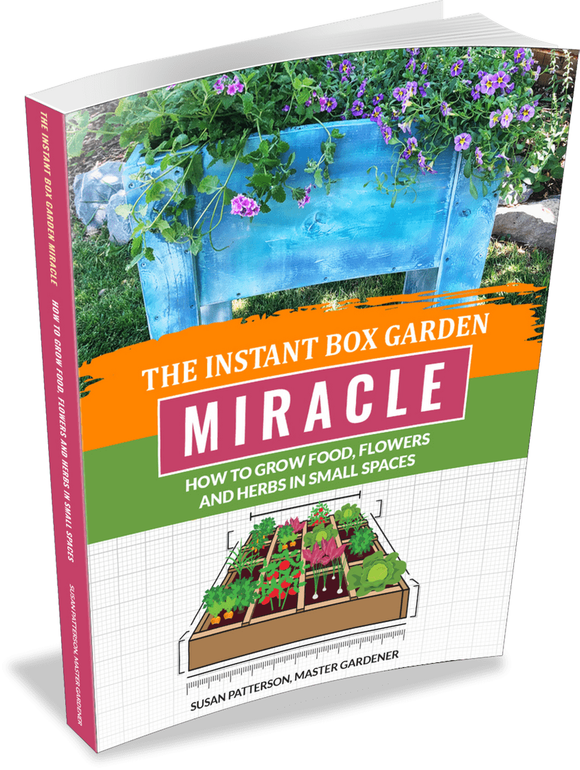 the instant box garden miracle reviews