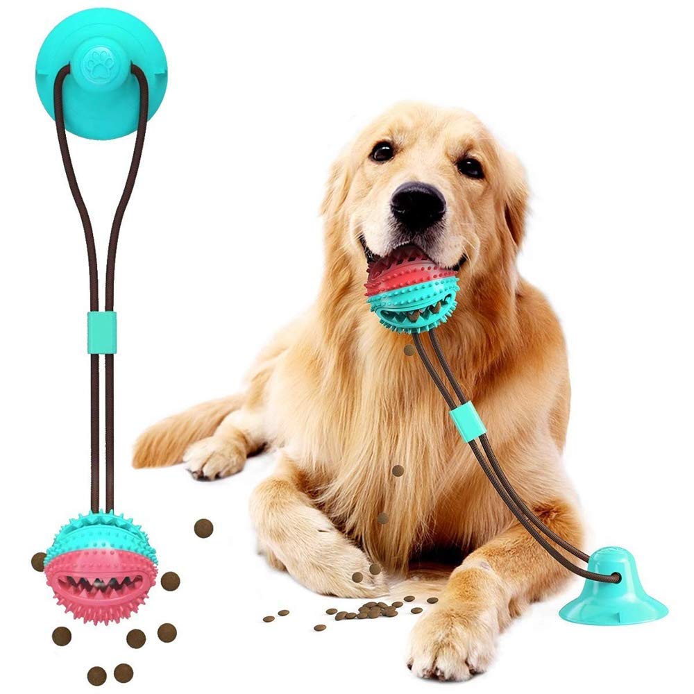 dog suction pull toy