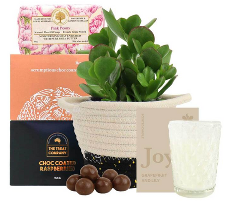 Succulent Scent Hamper