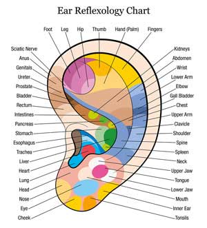 Ear chart for pressure points