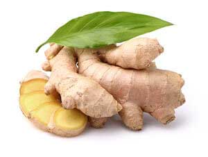 ginger root for firming, fine lines and wrinkles