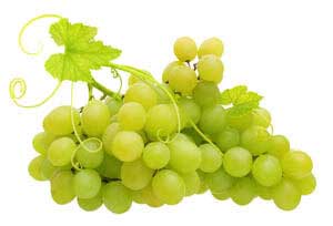 green grapes from vine, seed oil helps faces look youthful