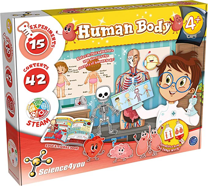 Human Body science kit for girls