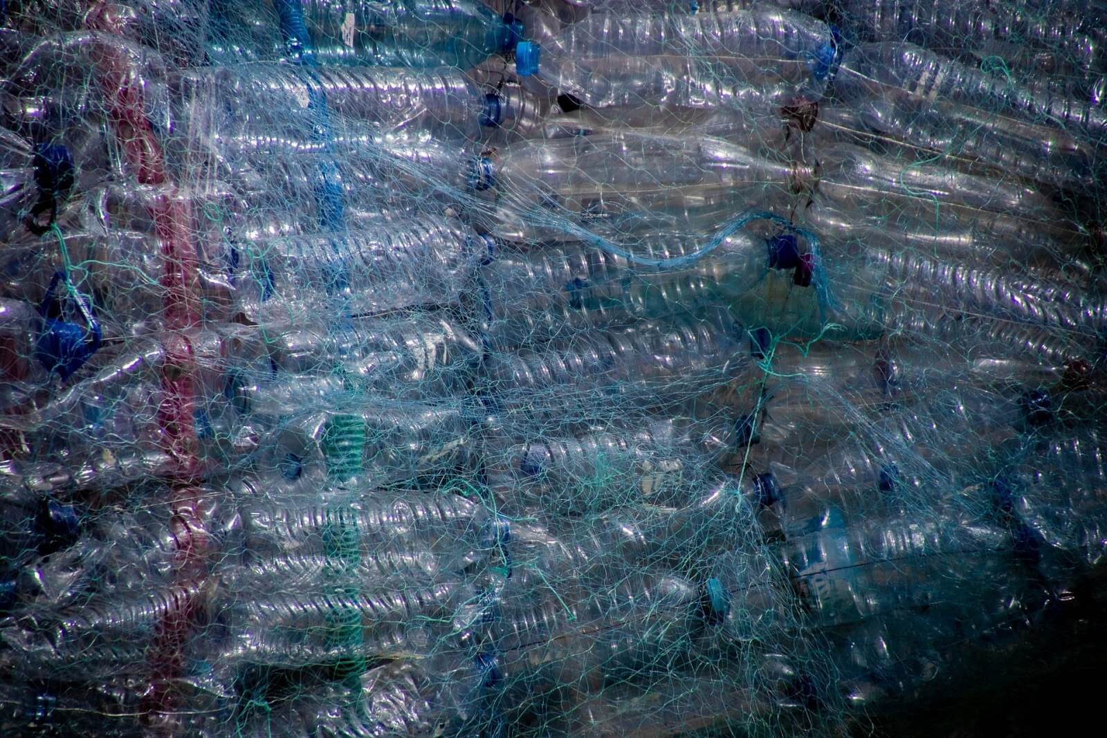 environmental cost of plastic bottles