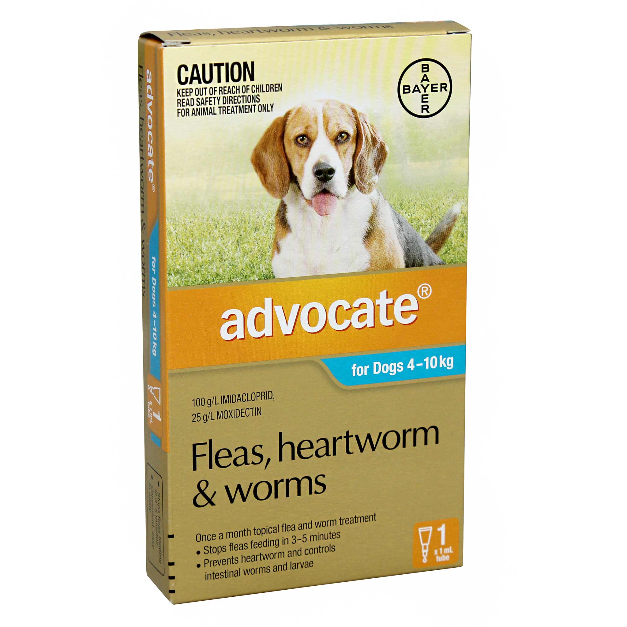 advocate for dogs