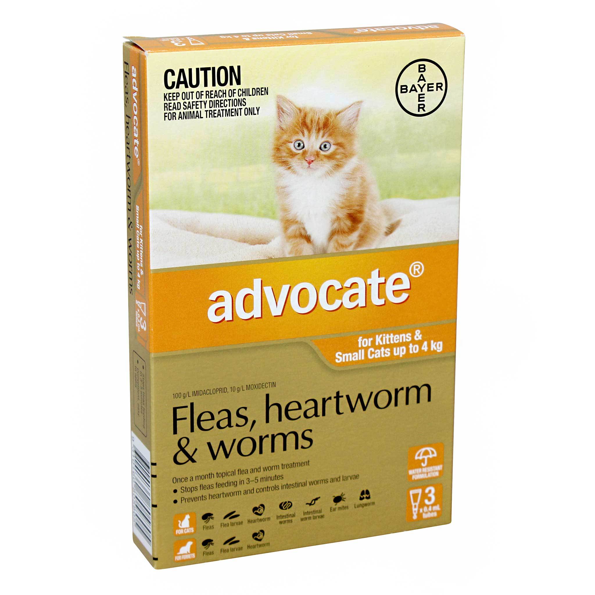 advocate for cats