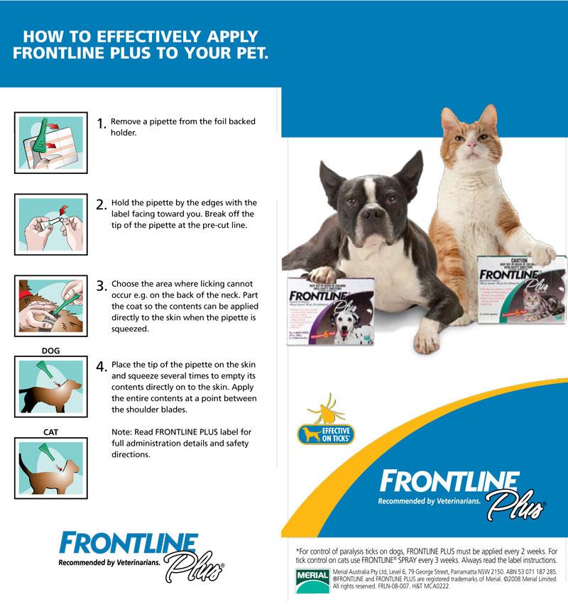 frontline plus for large cats