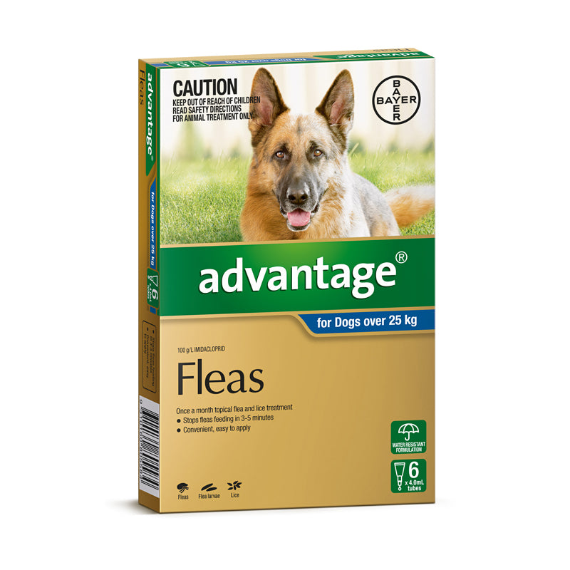 Advantage for Dogs Over 25kg - vet-n 