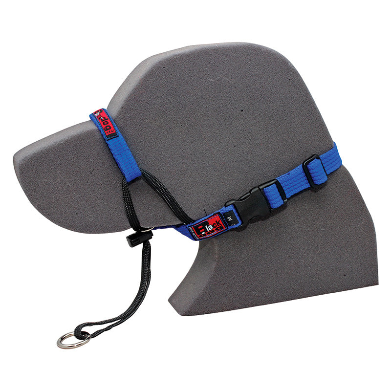 Black Dog Wear Training Halter - vet product image