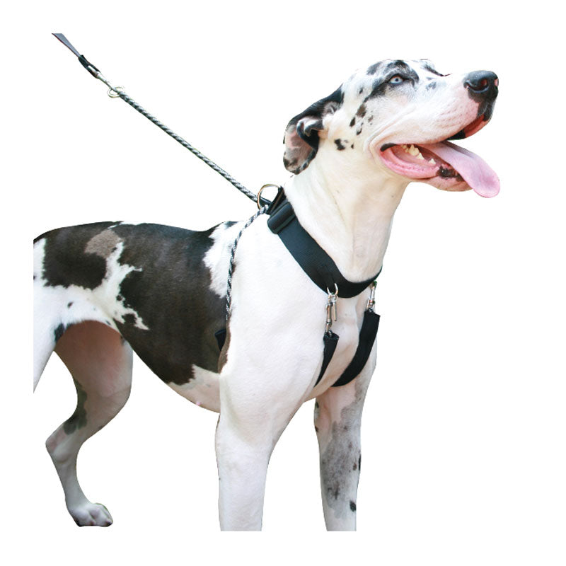 sporn dog harness