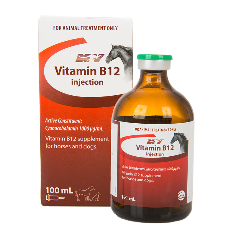 b12 vitamin for dogs