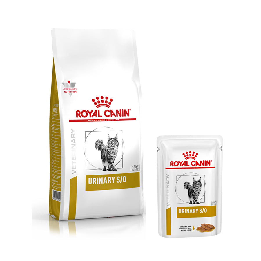 royal canin cat urinary wet food