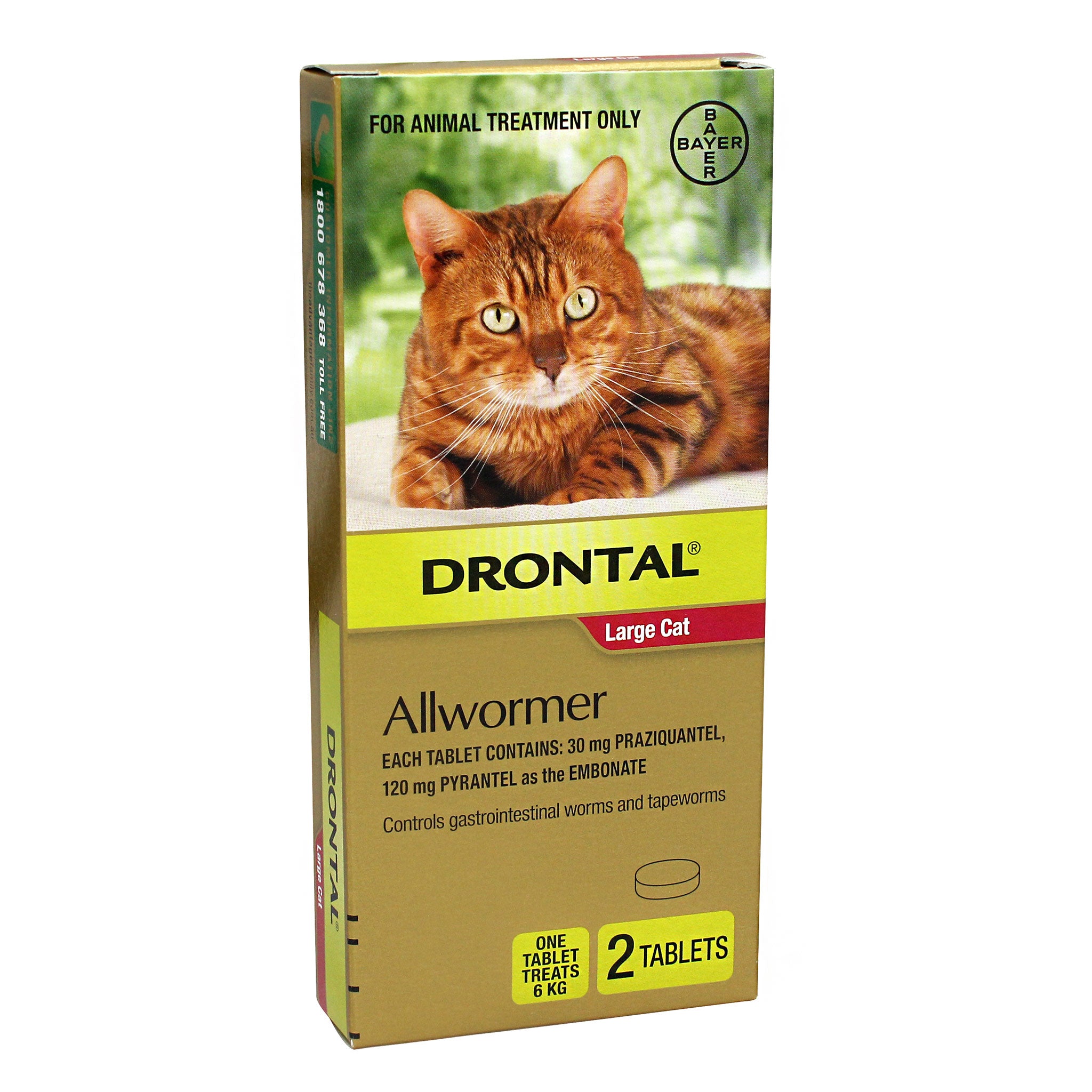 Does Drontal Kill Whipworms In Cats Cat Meme Stock Pictures and Photos