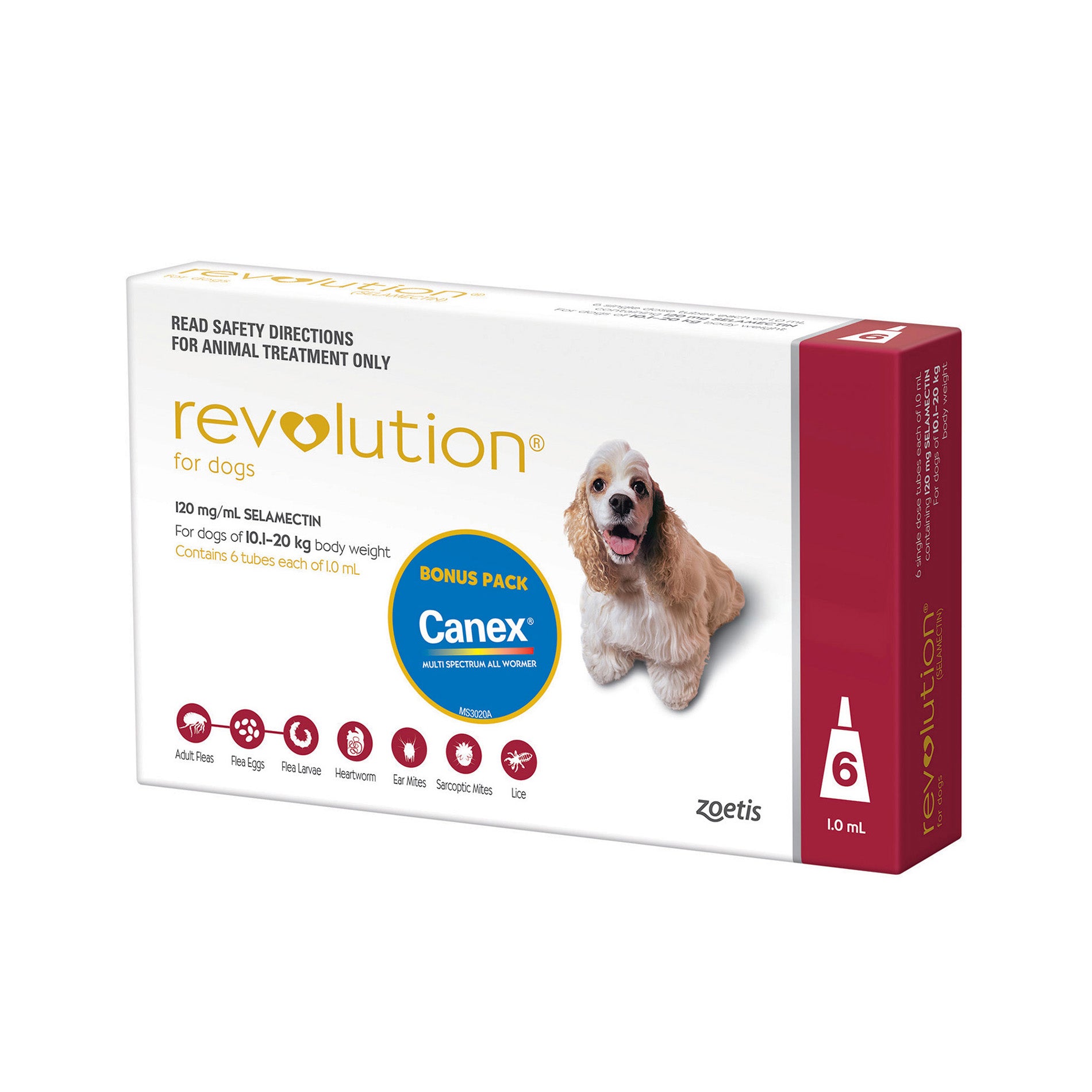 revolution for dogs