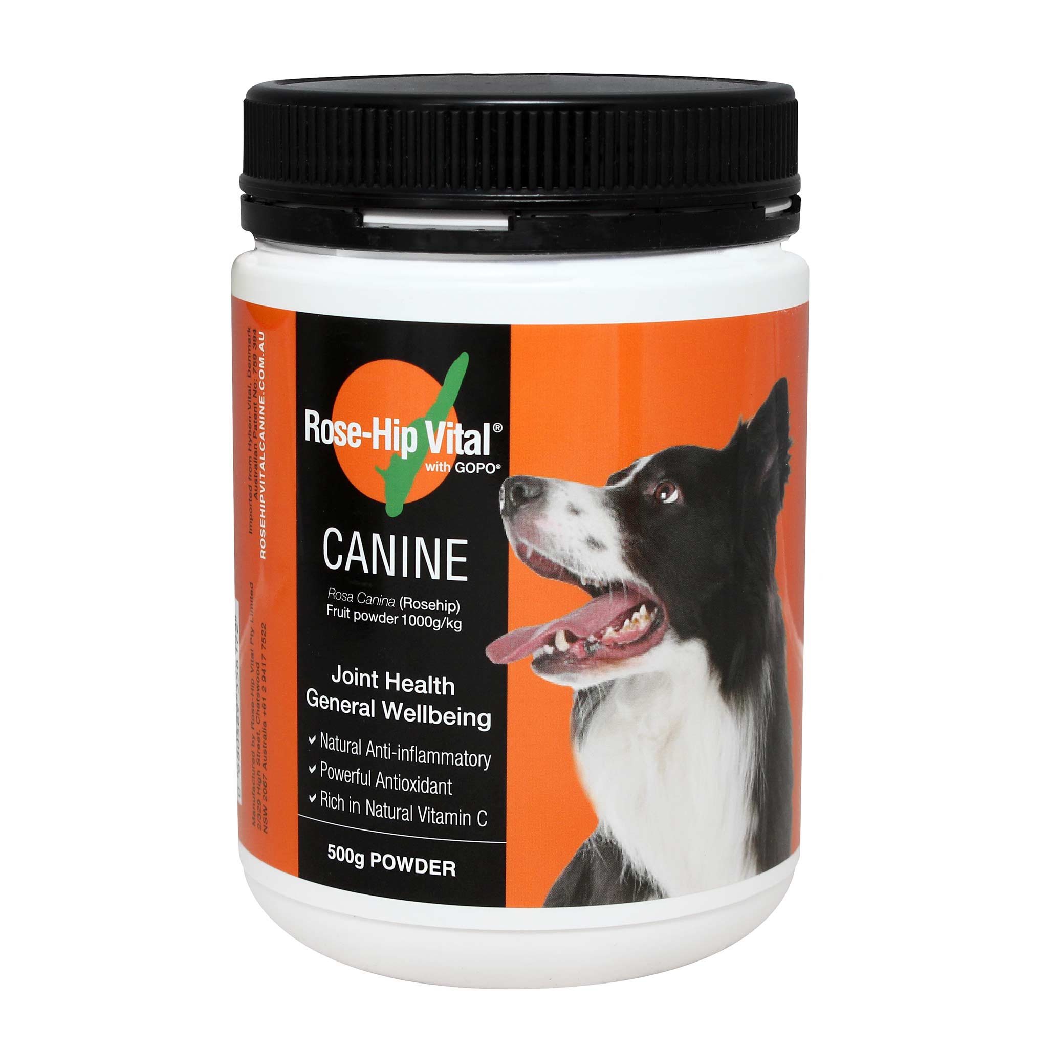 what is a natural anti inflammatory for dogs