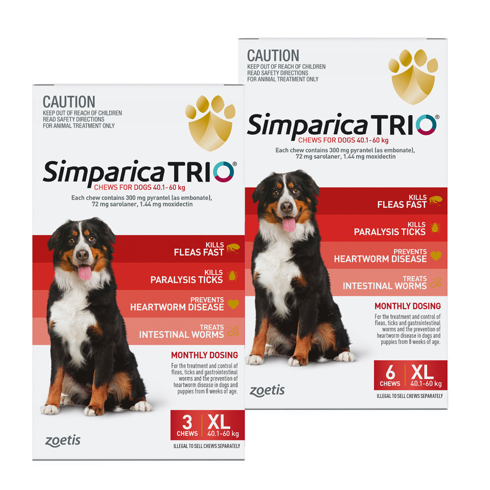 Simparica TRIO for XLarge Dogs 40.160kg vetnpet DIRECT