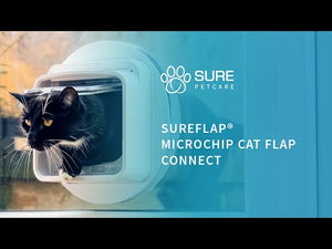 cat flap app