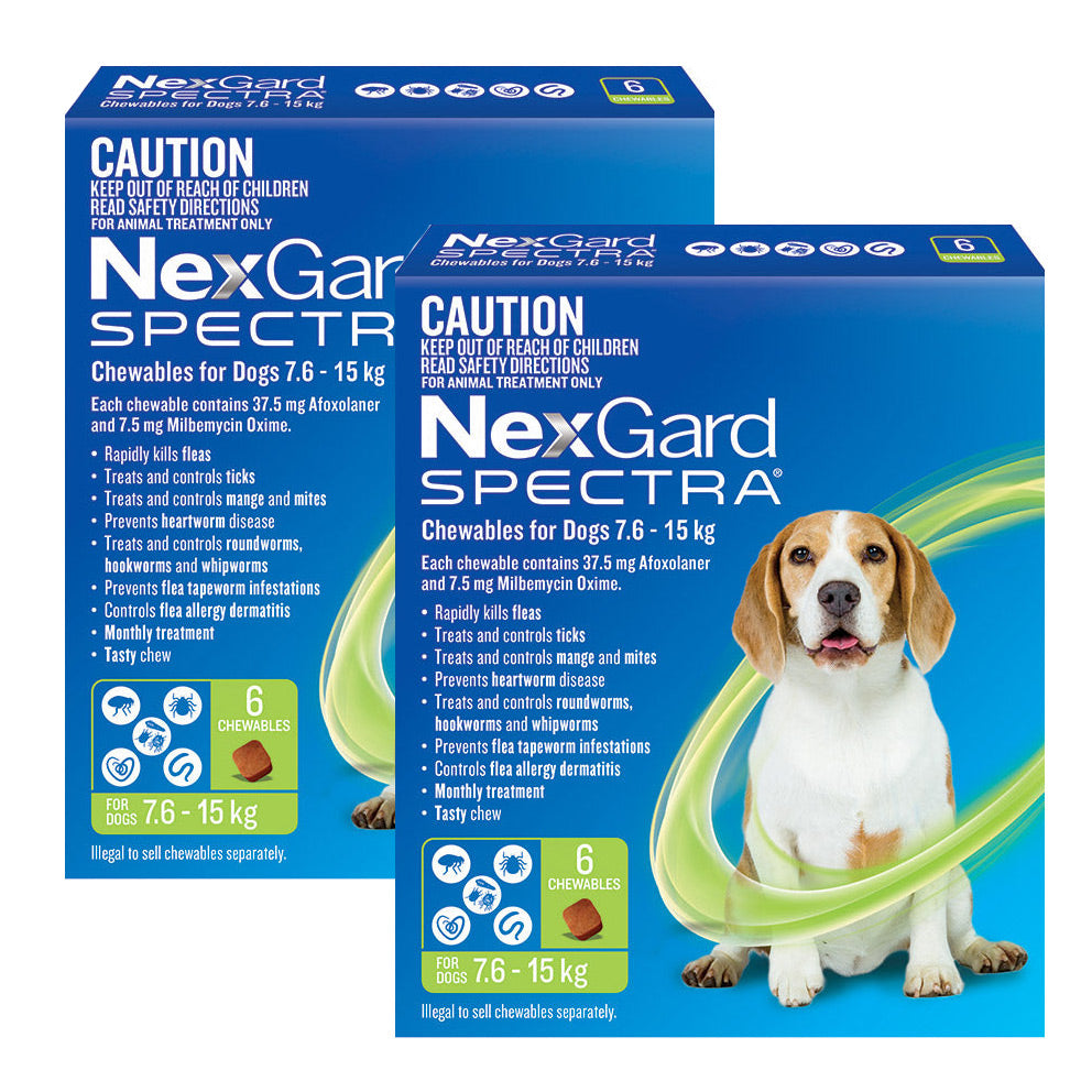 Nexgard spectra large hot sale dog best price