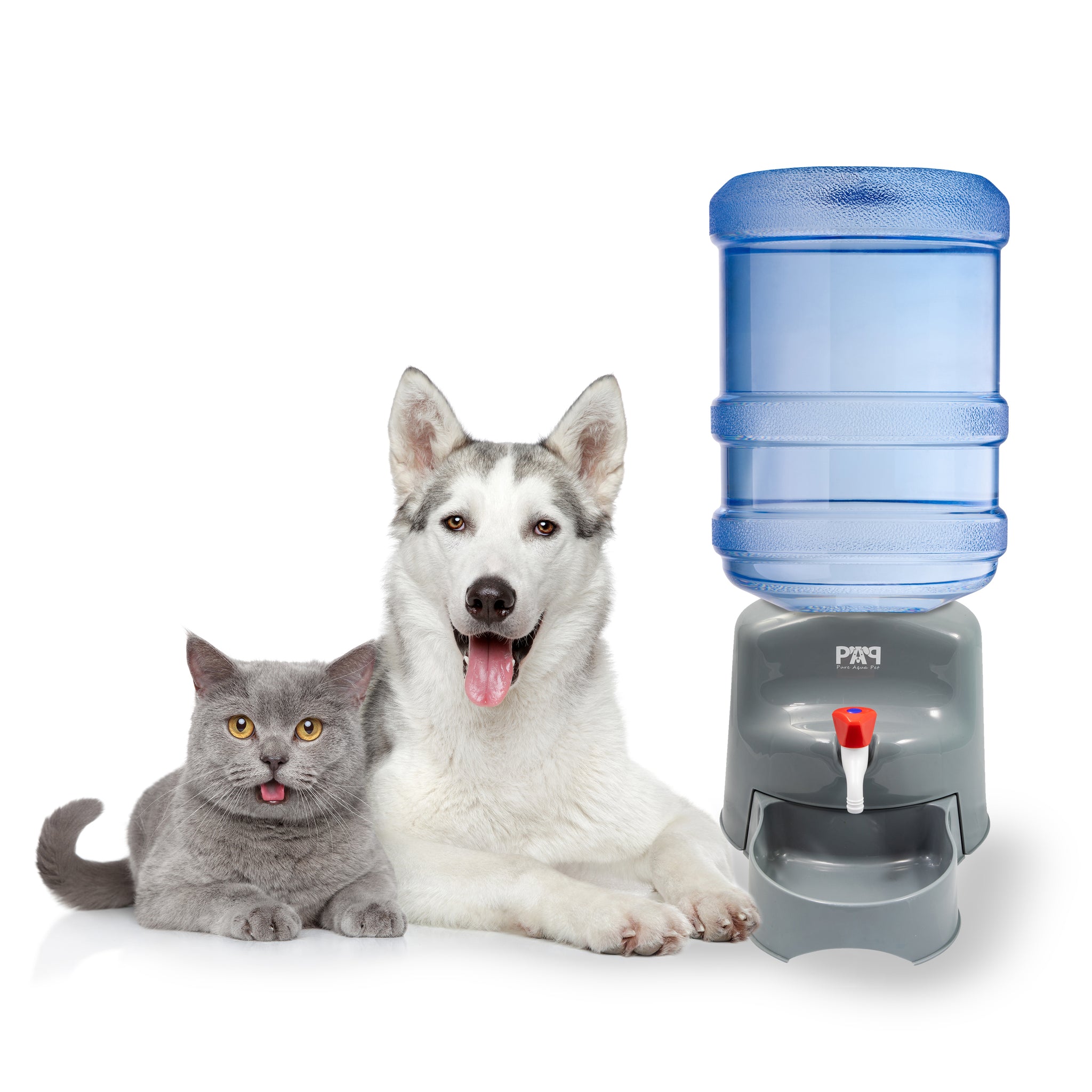 4 gallon automatic water dispenser dog