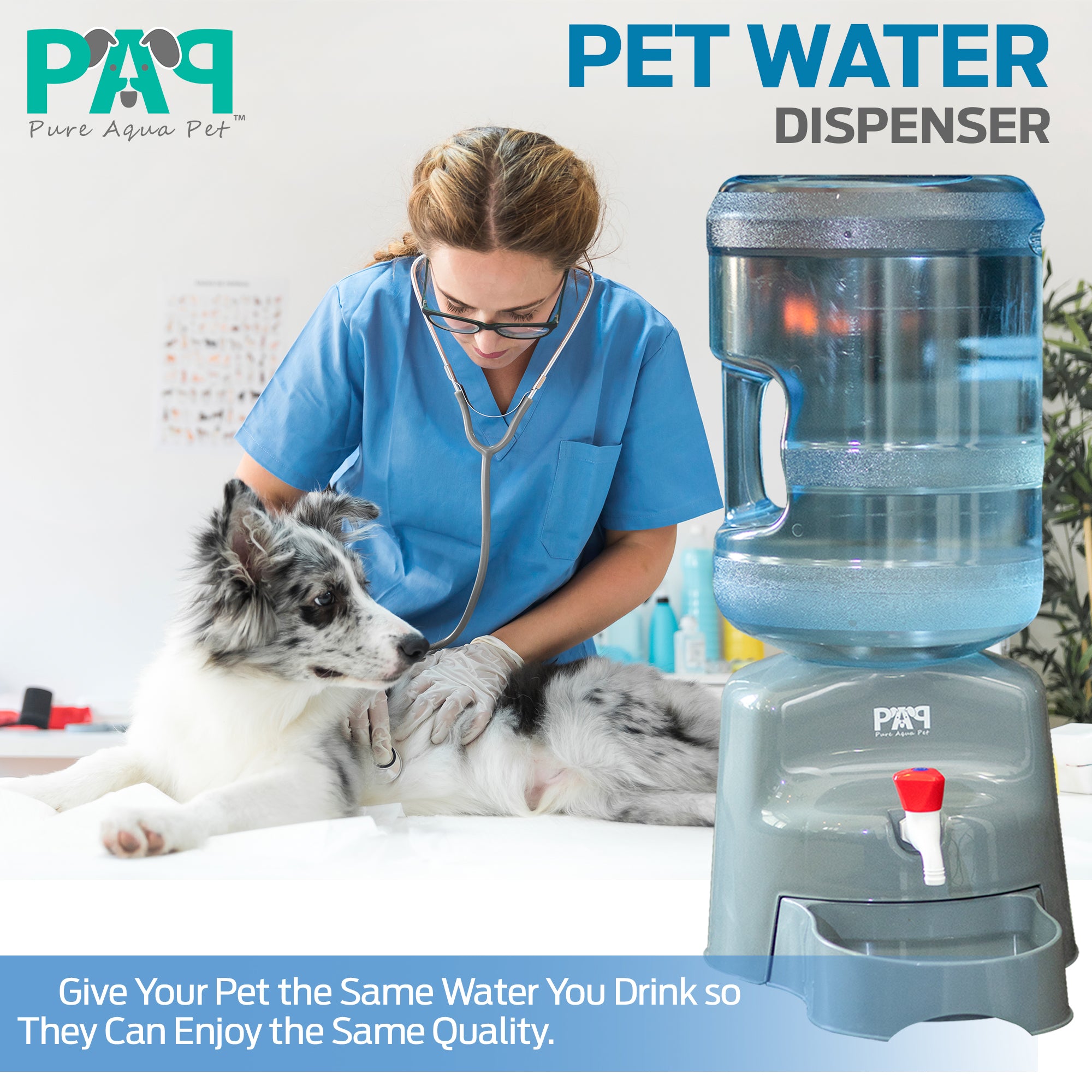 5 gallon pet water dispenser