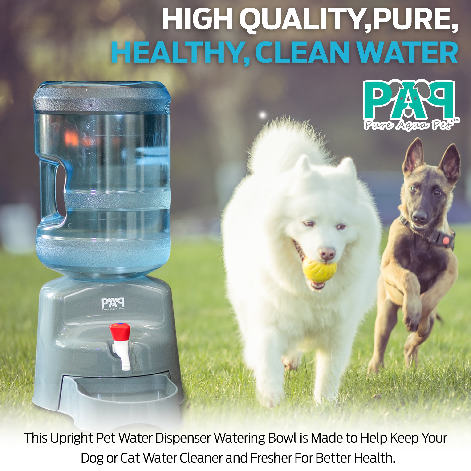5 gallon pet water dispenser