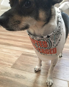 rescue dog bandana