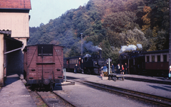 Harz Narrow Gauge Railway in Germany.- Train spotting