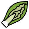 endive