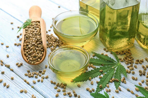 hemp seed oil vs. cbd oil