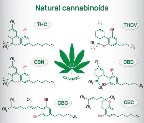 THC-CBD-CBC-CBN-CBG-cannabinoids