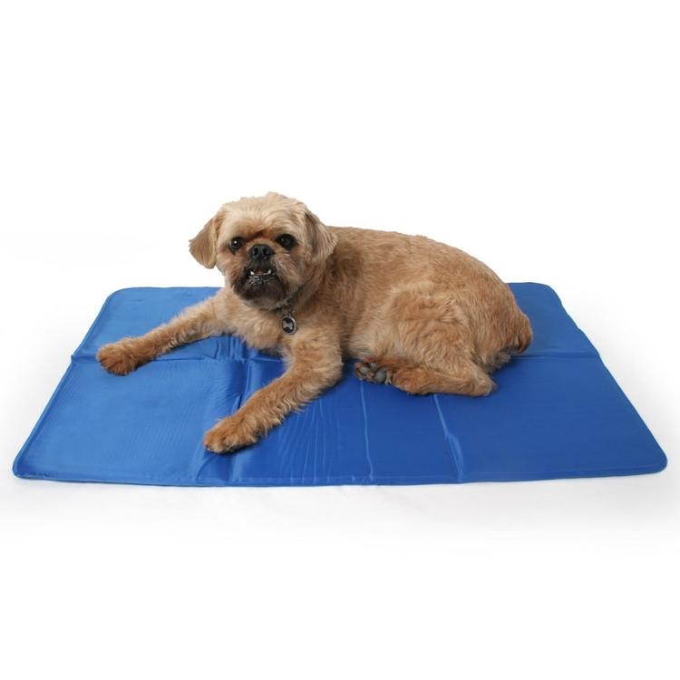 Pressure Activated Cooling Pad for Dogs | Muttropolis