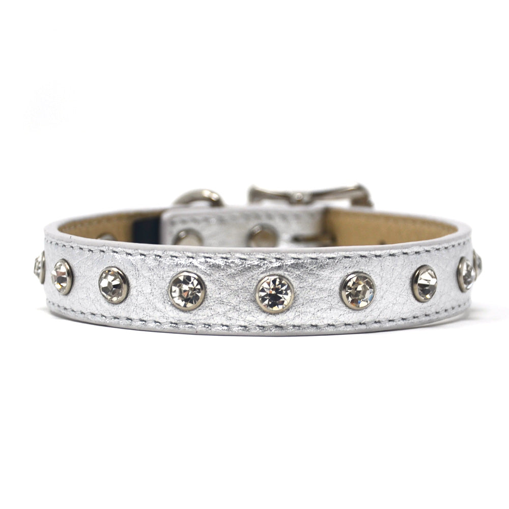 silver dog collar