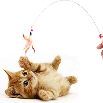 Cat wand toy