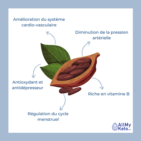 Bienfaits de la fève de cacao