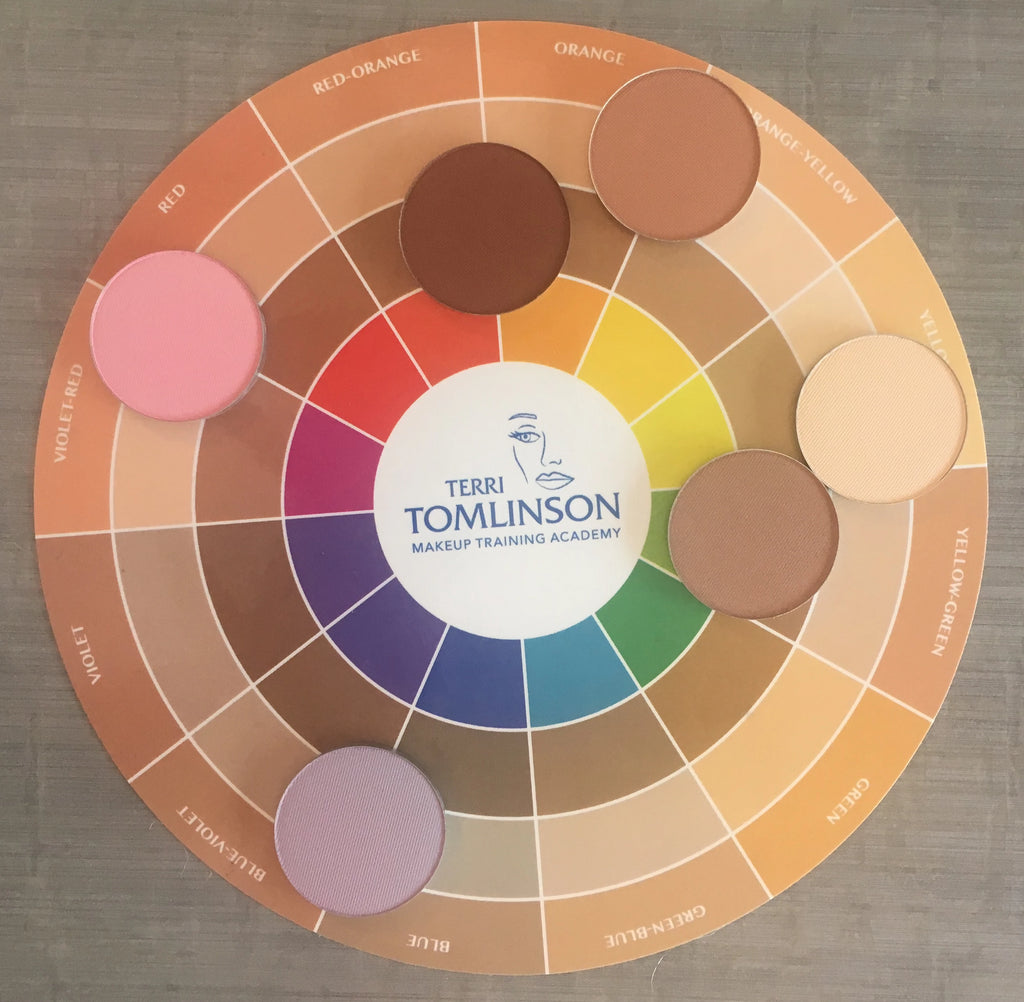 terri tomlinson flesh tone color wheel