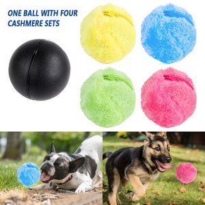 magic ball for dogs