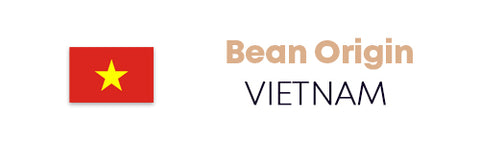 bean vietnam