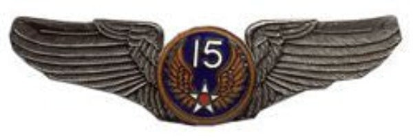 USAF Air Force officier chapeau doré emblème casquette Badge