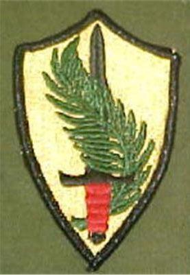 PATCH US ARMY PATCH - IlSemaforo