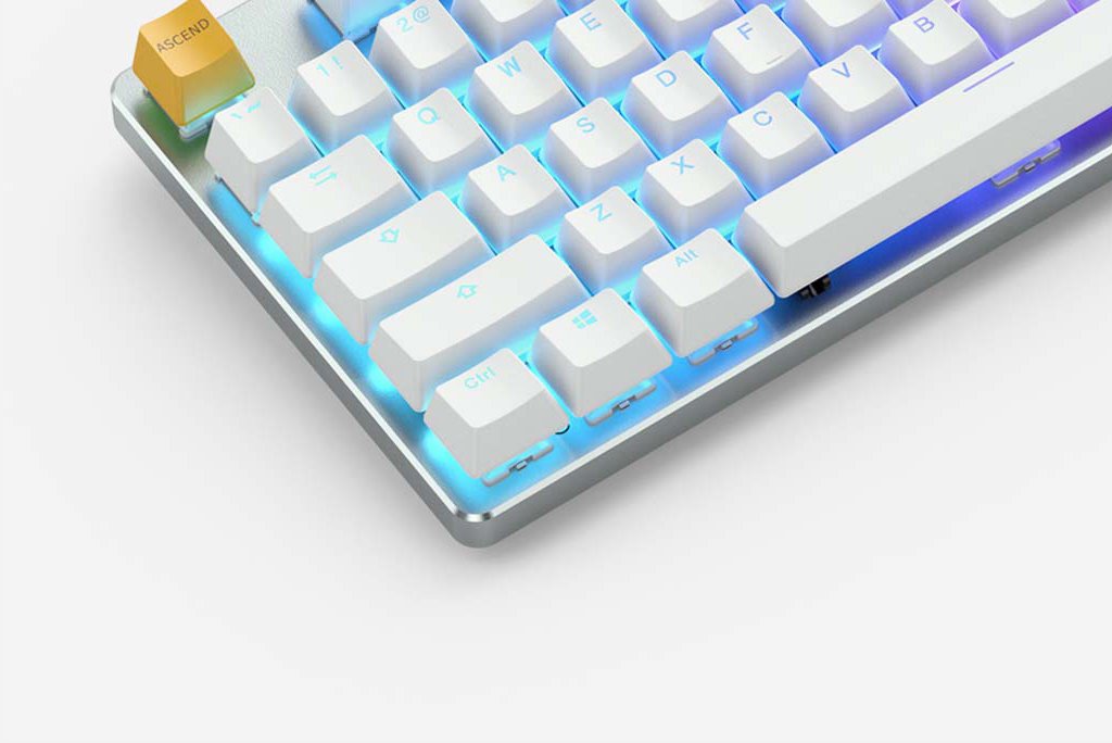 Glorious PC Gaming Race GMMK Pro White Ice 75% TKL Tastatur