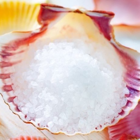 Buying scallops to recharge the stones: practical guide.