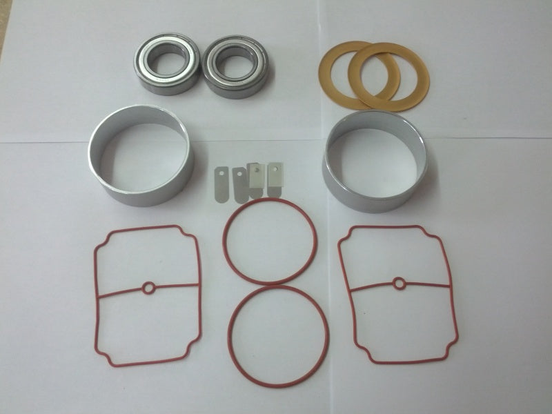 Thomas 2669 Compressor Rebuild Kit