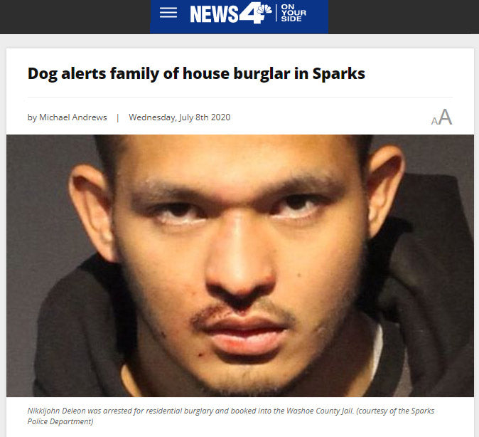 Dog alerts family