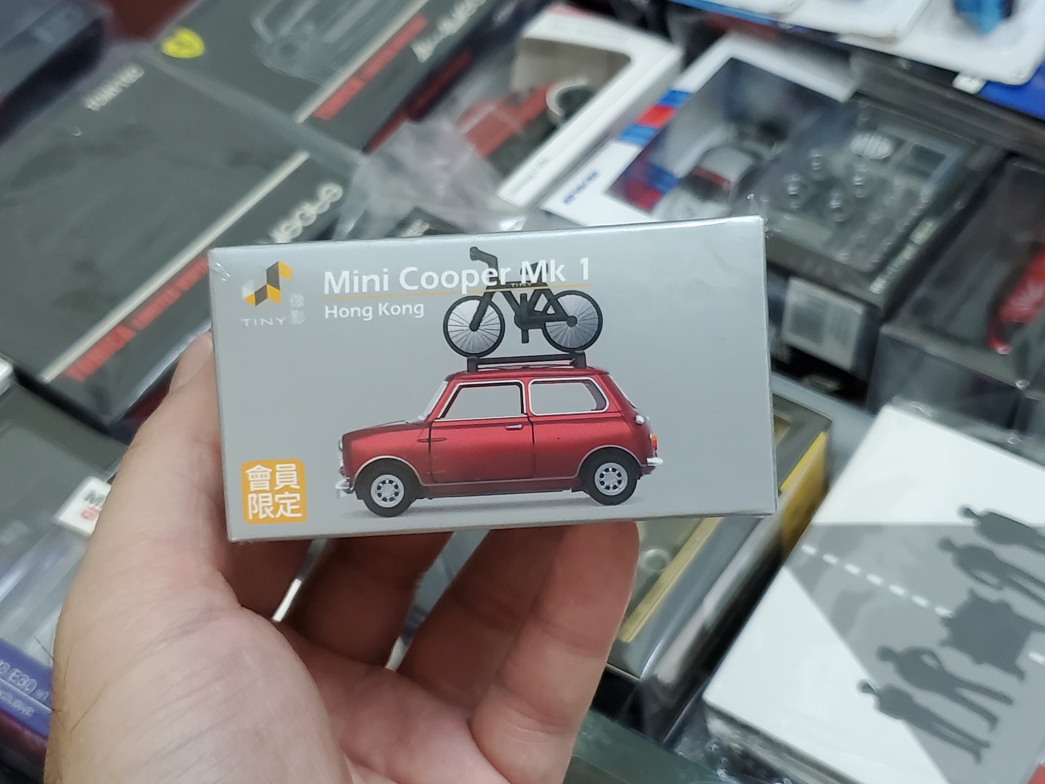 mini cooper bike carrier