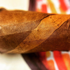 Partagas Anejo - Cigar Review - My Monthly Cigars - A Cigar Club For Everyone - Luc Blanchard - mysticks35mm