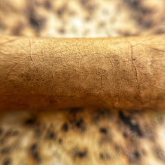 Cigar Review - Villiger Cuellar Kreme - My Monthly Cigars - A Cigar Club For Everyone - Luc Blanchard - mysticks35mm