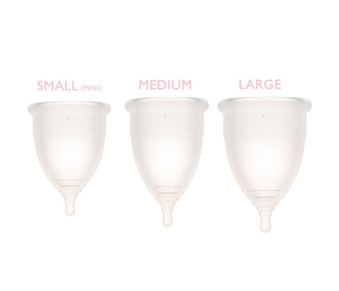 Pelvi Menstrual Cup