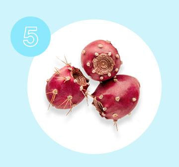 Prickly Pear oil high in essential fatty acids, which naturally stimulate collagen production.