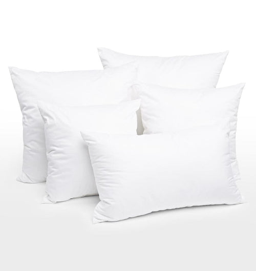 Outdoor 24 in. x 24 in. Premium Goose Down Feather Throw Pillow Inserts(Set of 2)-5% Down Filling, High Filling Weight, White